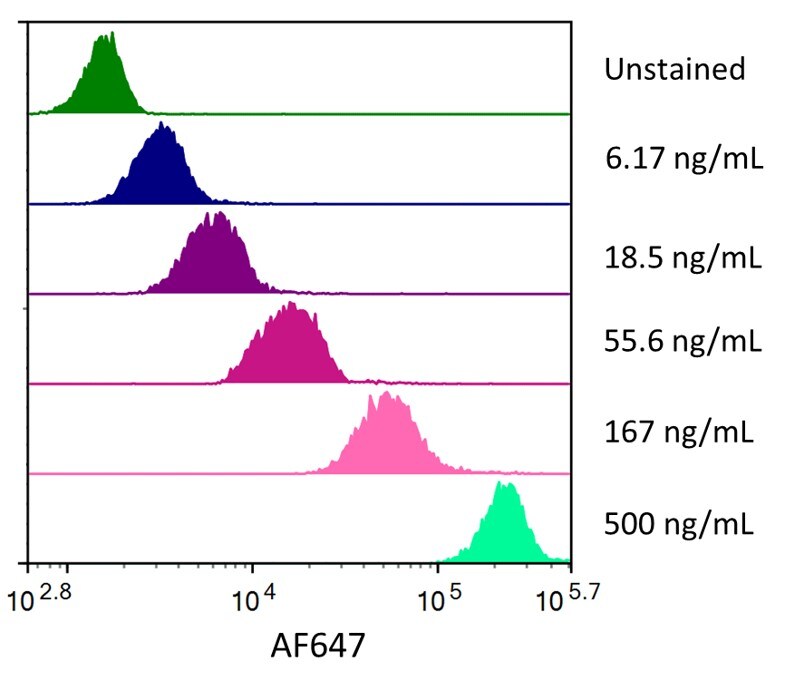 Streptavidin coated beads conjugated to biotinylated anti-Human BCMA/TNFRSF17 Monoclonal Antibody were stained with the indicated concentrations of Recombinant Human BCMA/TNFRSF17 Fc Chimera Alexa Fluor® 647.